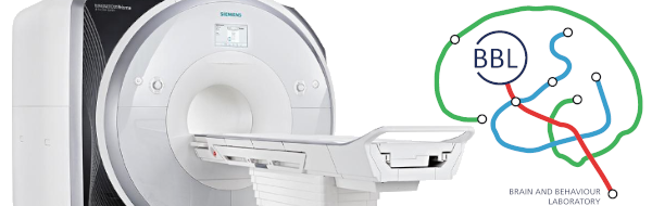 MRI_3.png
